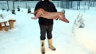 Новогодний кролик с рисом