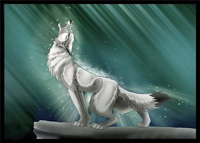 Max-Dubov Wolf фотография #4