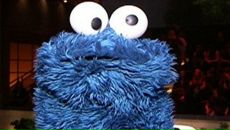 Фотография Белова Александра