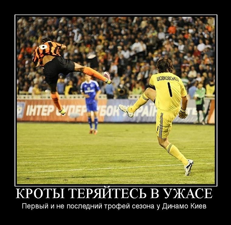 Дима Коваленко фотография #7