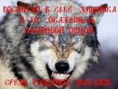 Фотография Зимина Наталья