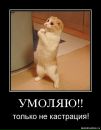 Богдан Федін фотография #39 (источник - https://vk.com/id111465996)