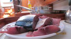 Игорь Иванов фотография #23 (источник - https://vk.com/id4906656)