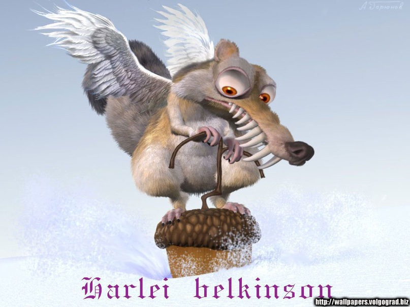 Виктор Никулин фотография #24