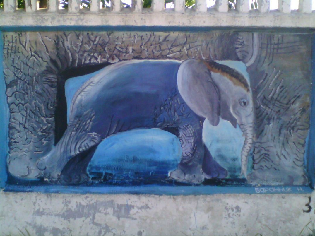 Антончиев Дмитрий фотография #23