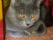 Фотография Симаковой Анны