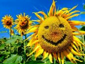 Доброгостів Найкращий фотография #1