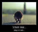 Ігор Якута фотография #15 (источник - https://vk.com/id65148344)