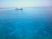 Фотография Блоныч Людыч