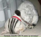 Фотография Лукьянова Вячеслава