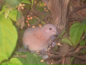 Фотография Авдеевой Евгении