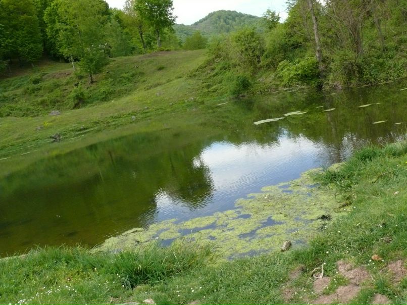 Оксана Гембей фотография #49