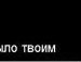 Міша Боксер фотография #23 (источник - https://vk.com/id64251316)