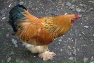 Константин Милёшкин фотография #24 (источник - https://vk.com/id1940844)