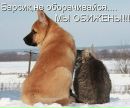 Діана Ловбек фотография #45 (источник - https://vk.com/id169862351)