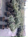 Ігор Андрусишин фотография #16 (источник - https://vk.com/id68703416)