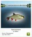 Саша Саків фотография #11 (источник - https://vk.com/id161806551)