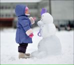 Colour_dream ★★★★★ фотография #1