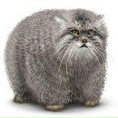 Фотография Власова Андрея