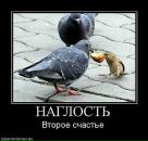 Вітуська Ройко фотография #16 (источник - https://vk.com/id75085547)