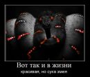 Сергій Стеценко фотография #17 (источник - https://vk.com/id27155942)