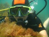 Фотография Сороки Анны