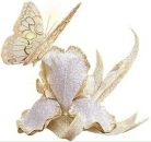 Фотография Зиатдинов Рустам