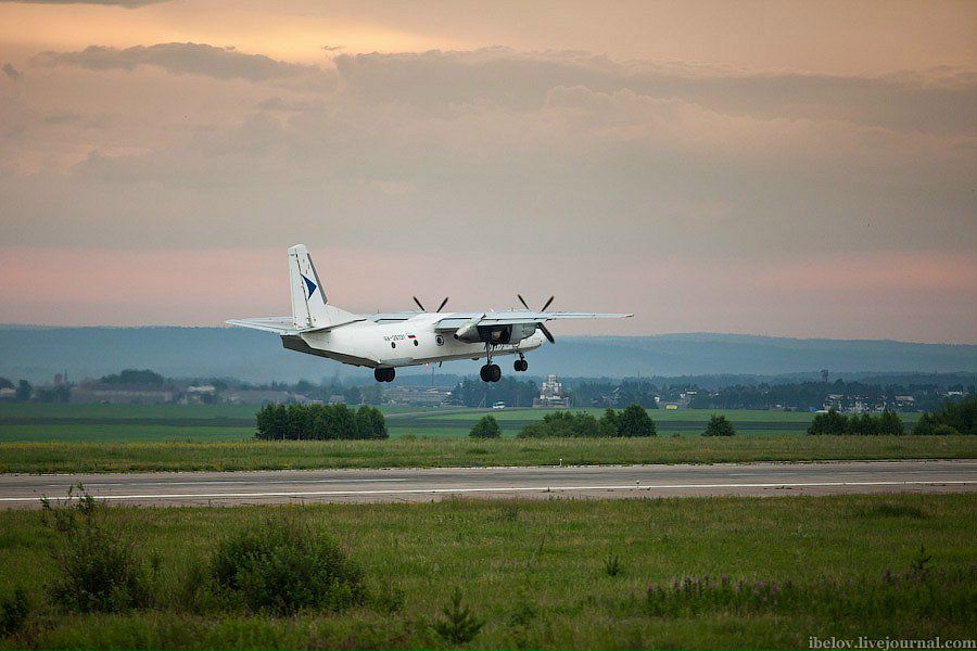 Кот Бегемот фотография #38