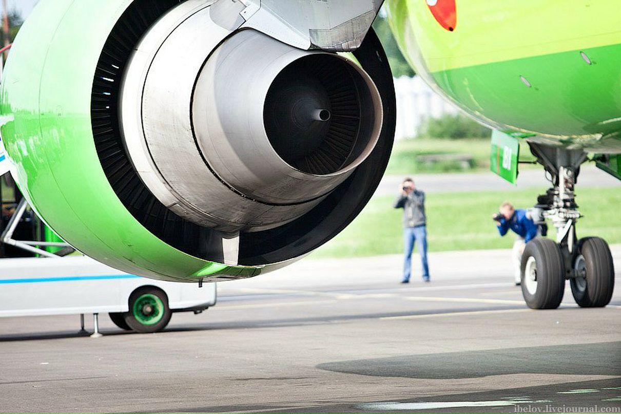 Кот Бегемот фотография #25