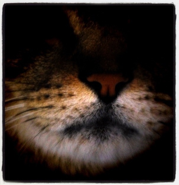 Евгений Викторов фотография #34