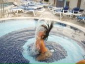 Фотография Торгунаковой Анастасии