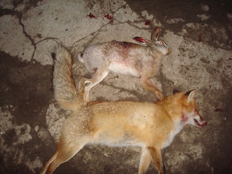 Вадик Костенко фотография #37