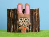 Фотография Садовской Жанны