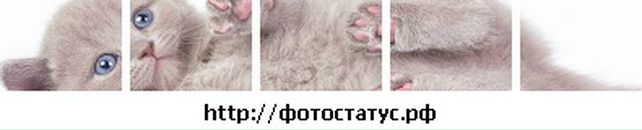 Іра Ковтун фотография #7 (источник - https://vk.com/id68757066)