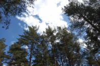 Анна Иванова фотография #35 (источник - https://vk.com/id3065498)