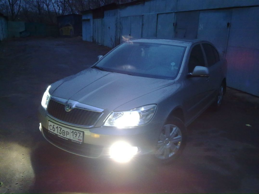 Dima Woolf фотография #36