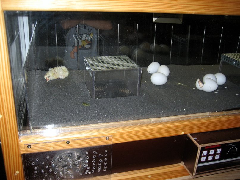 Дмитрий Попов фотография #49