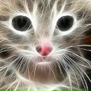 Фотография Голубковой Ольги