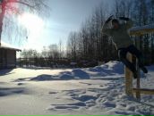 Фотография  