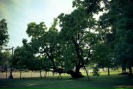 Maritta Pluto фотография #27 (источник - https://vk.com/id2934473)