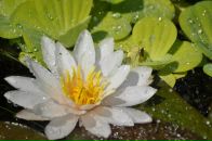 Bolat Ælbortæ фотография #27 (источник - https://vk.com/id9727982)