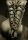 Фотография Светланы Светланы