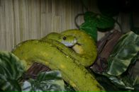 Сергій Момот фотография #32 (источник - https://vk.com/id3990608)