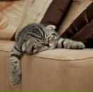 Діана Дячук фотография #5 (источник - https://vk.com/id162714220)