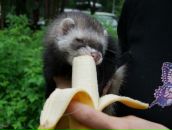 Фотография Беккер Кристины