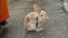 Фотография Бунина Алексея