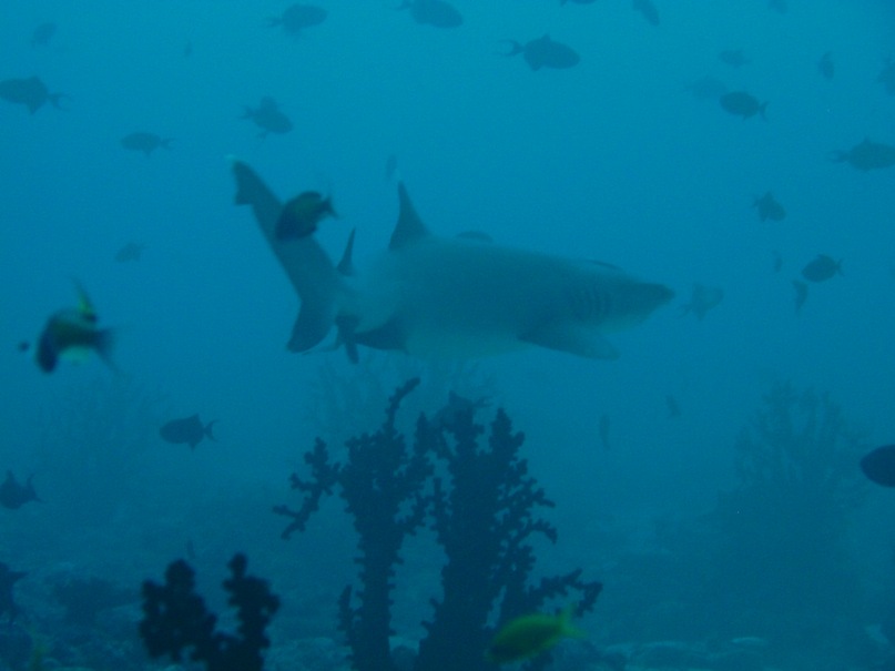 Alexey E фотография #30