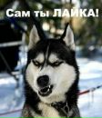 Моріка Січ фотография #17 (источник - https://vk.com/id169565233)