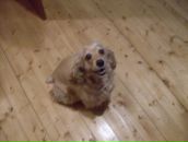 Сергей Воробьёв фотография #24 (источник - https://vk.com/id1777942)