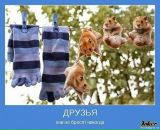 Ірина Шевченко фотография #40 (источник - https://vk.com/id17011710)